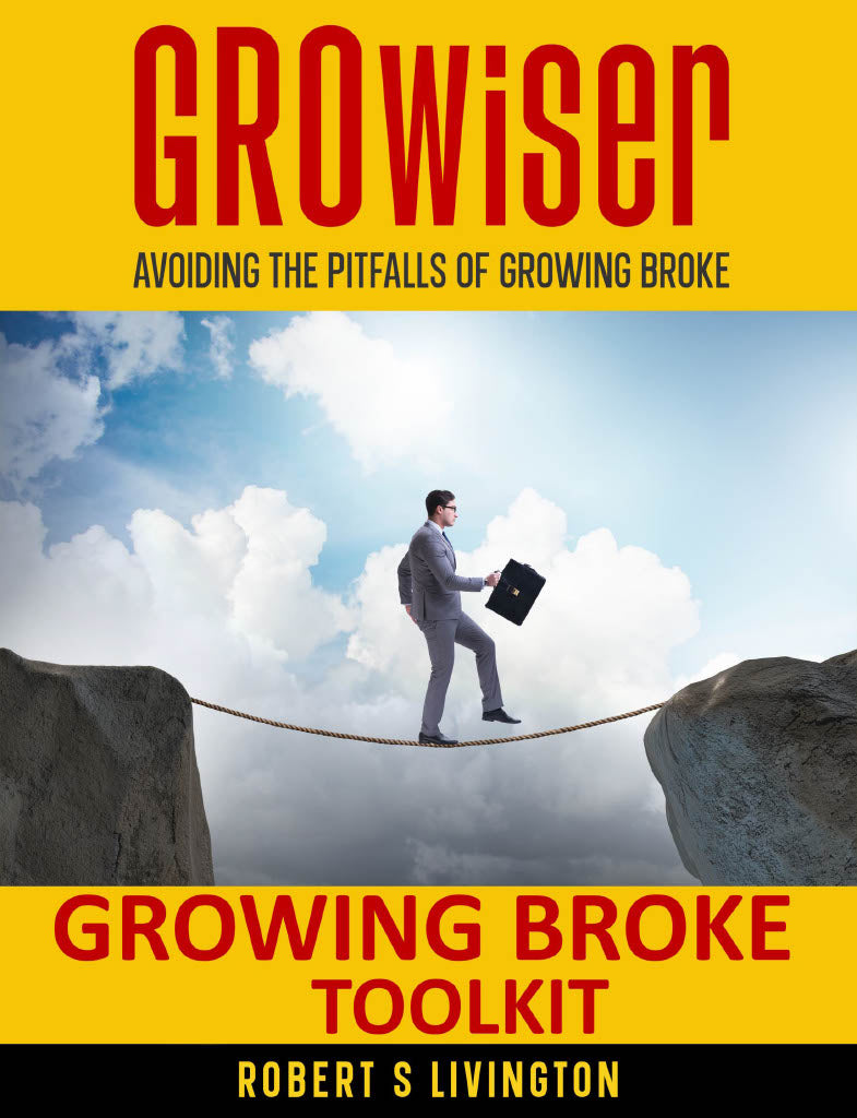 GROwiser - Cash Flow Mastery Diagnostic Tool