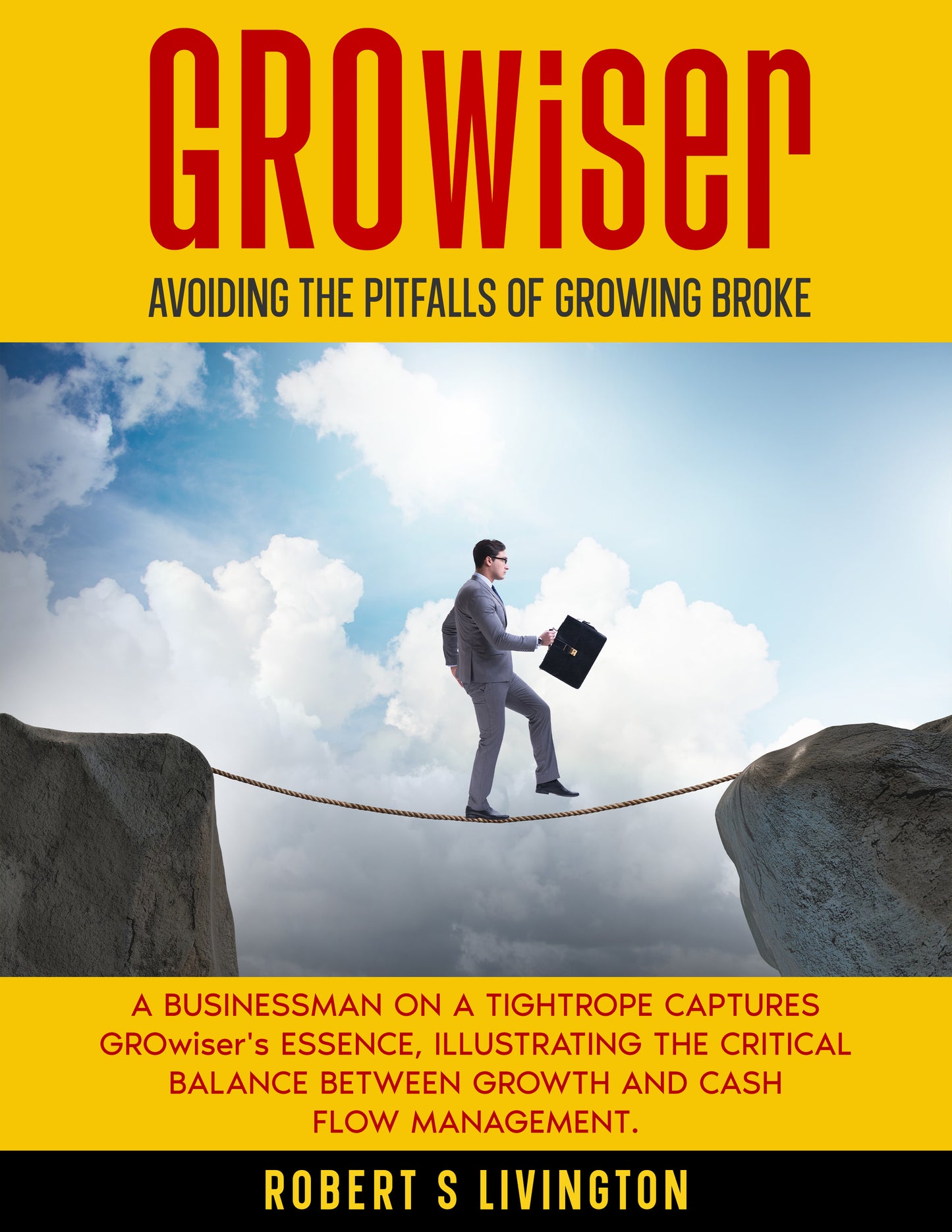 GROwiser - Cash Flow Mastery Diagnostic Tool